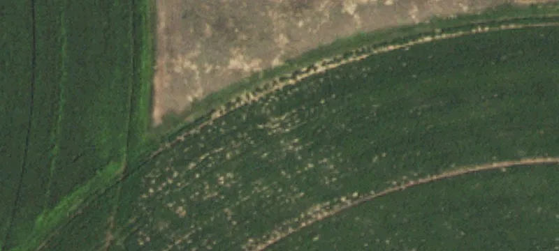 Highway 54 Irrigated Land