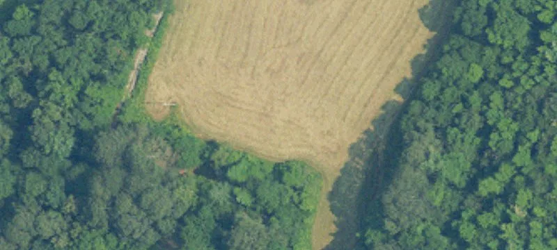 10 Acres with Road Frontage