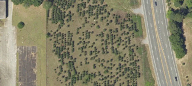 Highway 521 Land For Sale