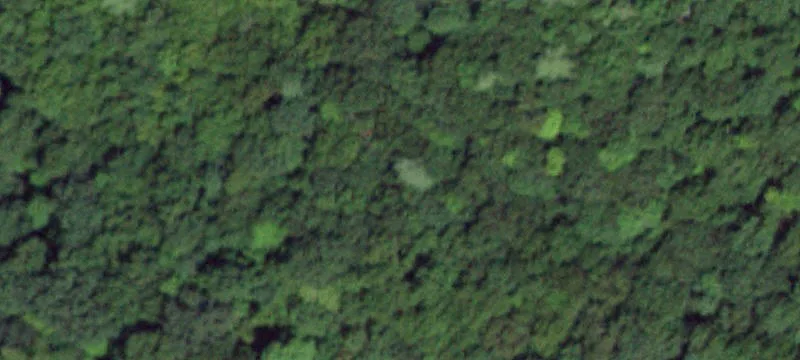 Pine Plains Wooded Building Lots