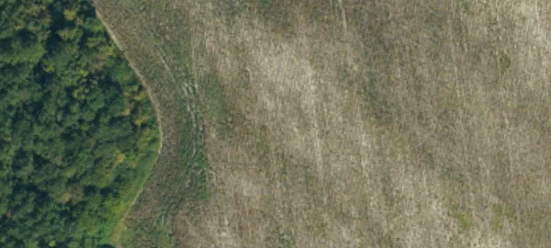 Industrial Land For Lease