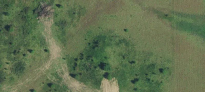 Land