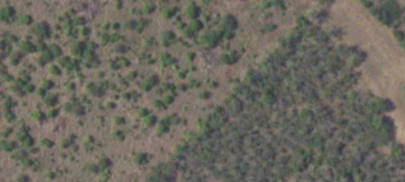 Kenedy Land For Sale