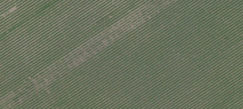 348.4 Acres Almond Orchard