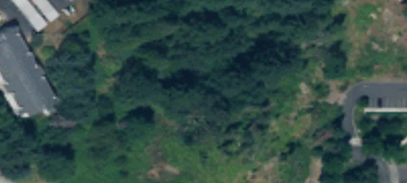 Lacey Commercial Land For Sale