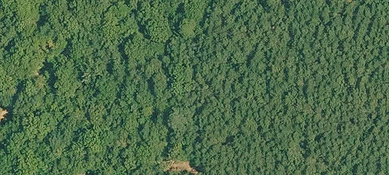 Bayou Front Commercial Lots Available