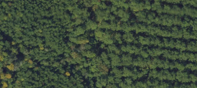 Prime Commercial Land Opportunity