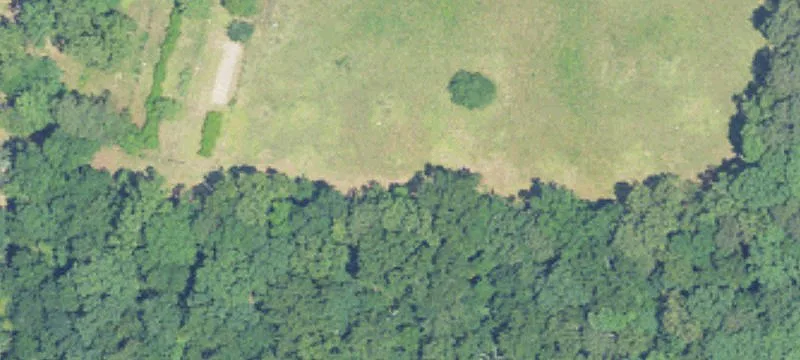 Prime Development Property Near Jasper