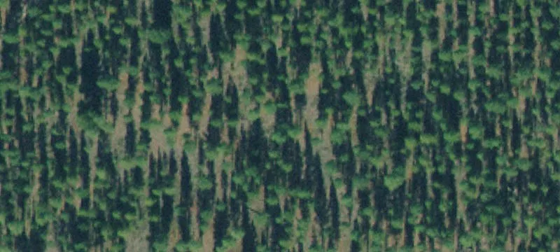 Treed Lot with River View