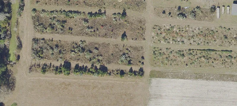 Cleared Land with I-10 Frontage