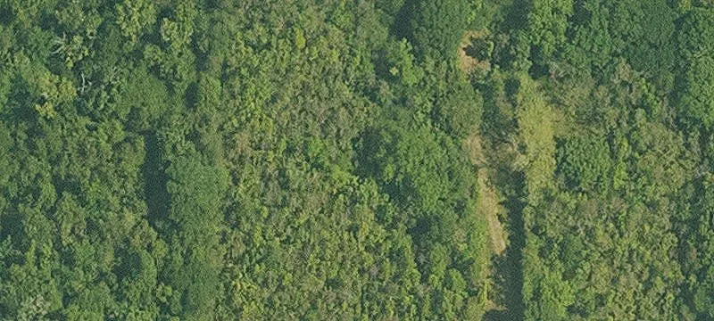 Unattended Farmland Property