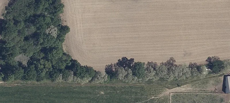 Industrial Land for Lease