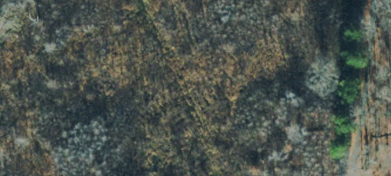 7.4 Acre Signalized Intersection Lot