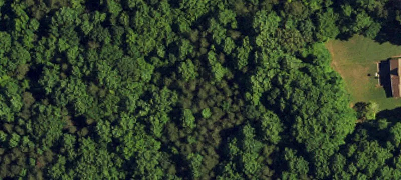 Greensboro Agricultural Land For Sale