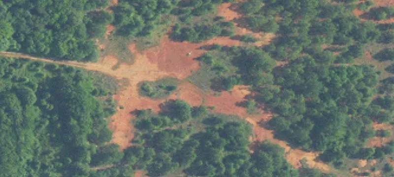 72 Acres on Trinity Lane