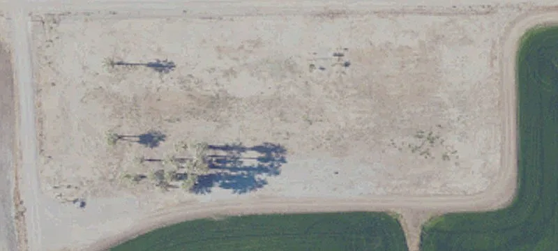 Sutter County Orchard Land Parcel