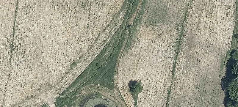 Equestrian Facility Near Intel