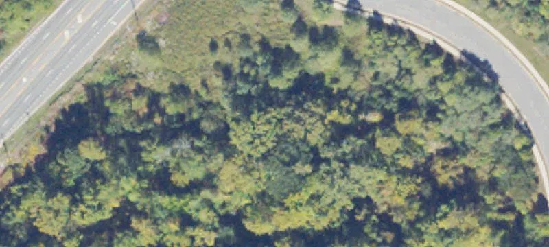 Stafford Land For Sale