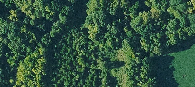 Treed Acreage with River Access