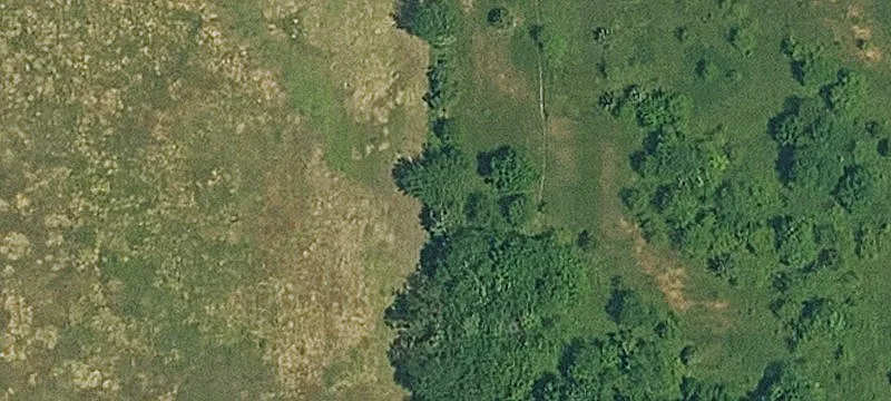 360 Acres Dream Property