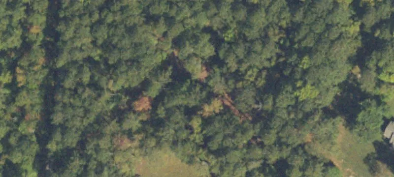 Chattahoochee Hills Farmettes Opportunity