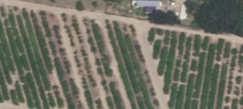 Residential Land Near Bryan Road