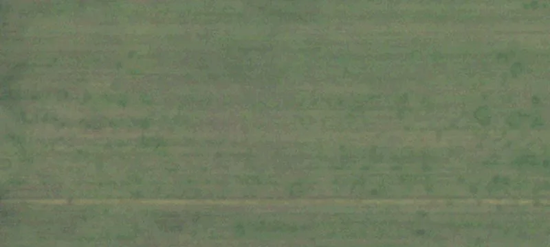 30 Acres of Versatile Land