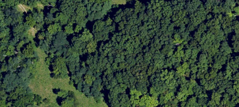 304 Acres Near Kentucky Speedway