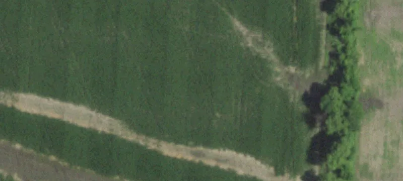 267 Acres Vacant Farmland