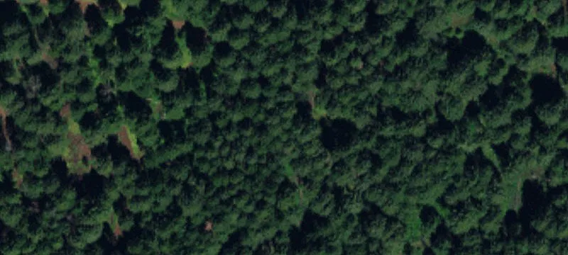 Valley View Ranch Land Parcels