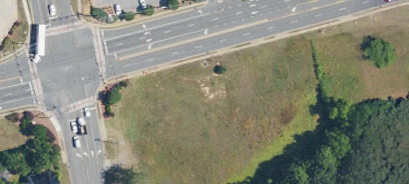 Locust Land for New Business