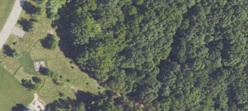 Wooded Land with Mountain Views