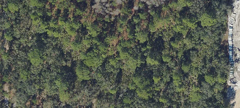 Prime Commercial Land on Highway