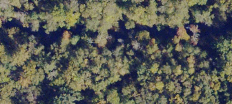 Farmville Land For Sale