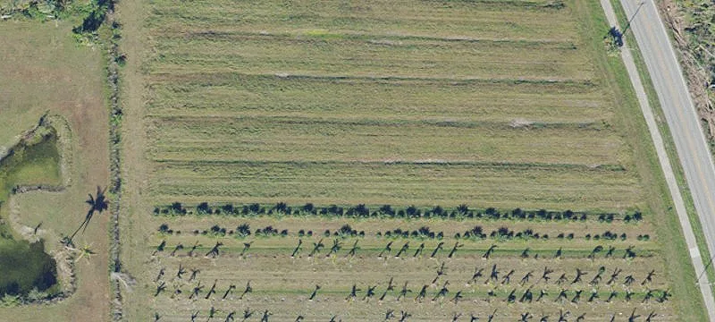 Pine Island Acreage for Redevelopment