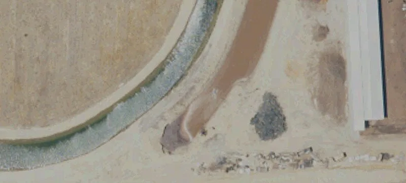 Organic Almond Orchard with Water