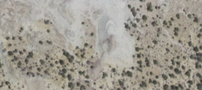 17 Acres of Vacant Land