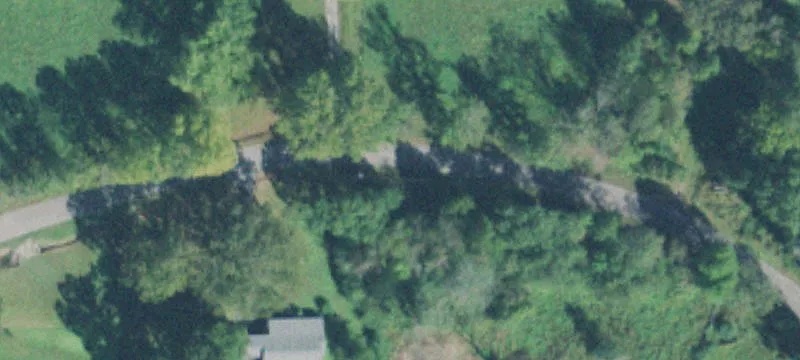 Untouched Timber Hunting Paradise