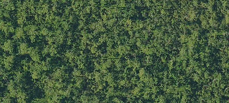 Land Overlooking Jean Lafitte Park
