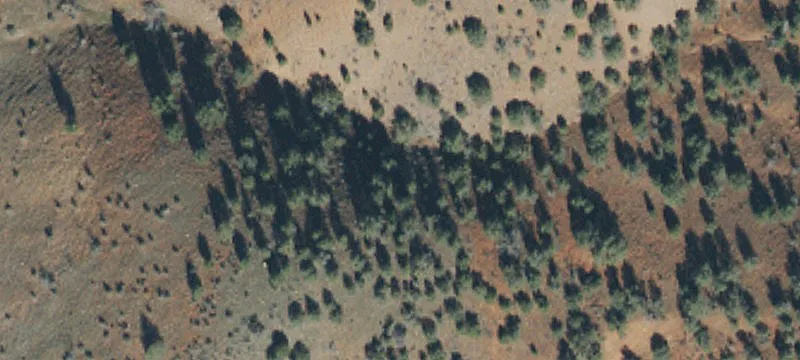 1450 Acre Ranch in Dog Valley