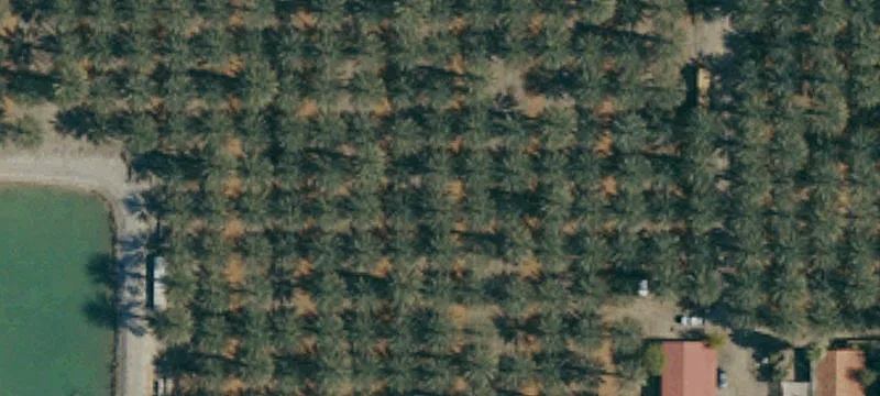 Coachella Valley Date Ranch