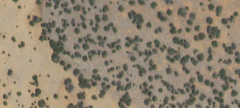 Land in El Valle