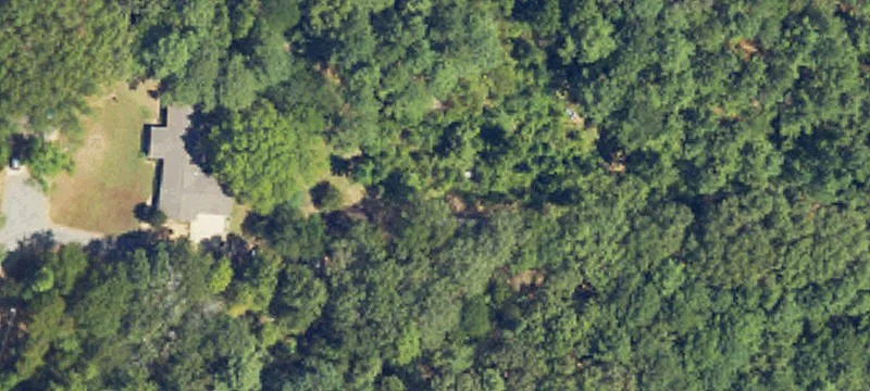 20 Acres Wooded Land