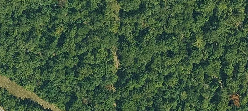 Land Near Arkansas Lake