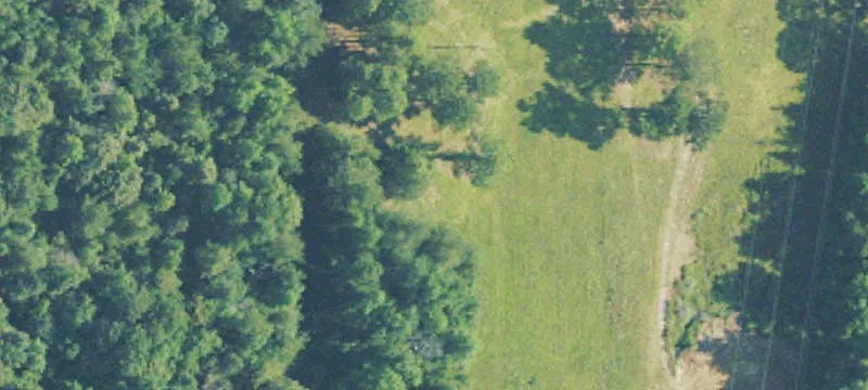 75 Acres Developable Land Petal