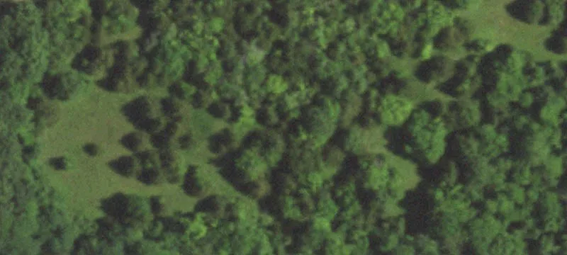 Wooded Homesites in New Subdivision