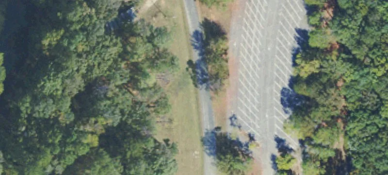 Bay Springs Marina For Sale