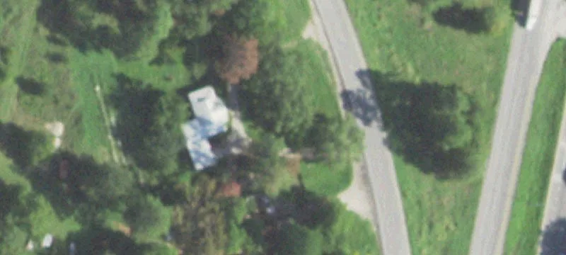31.3 Acres of Wooded Land