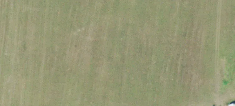 Pristine 50-Acre Tennessee Land