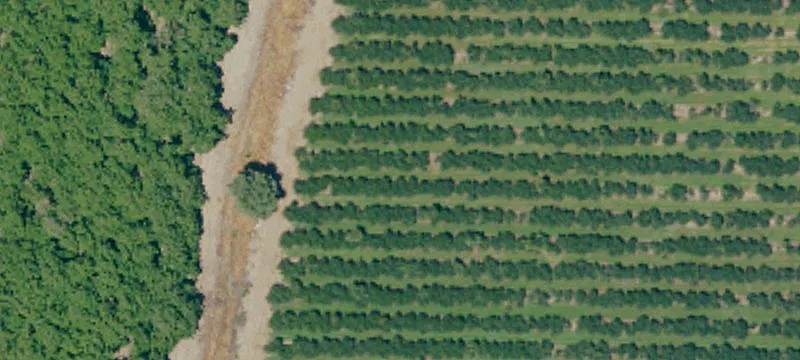 Farmersville Commercial Land For Sale